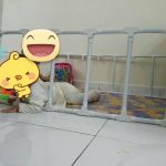 26113810_10212392756507419_2939509139473144160_n