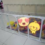 26168496_10212392755547395_3534373126534274281_n