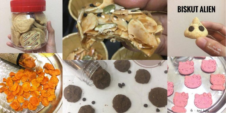 Pelbagai Resipi Biskut Raya Untuk Bayi Yang Sedap Dan Mudah. Tiada Bahan Pewarna & Gula!