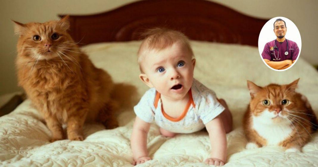 Bahaya Anak Kena Gigit Atau Cakar Kucing. Doktor Ni Kongsi Apa Perlu