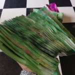 beli 3