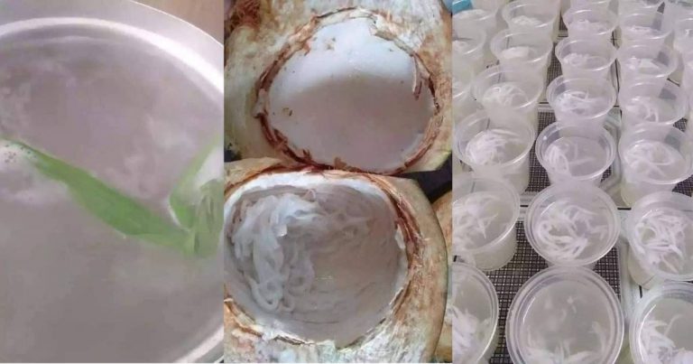 Mudah Je Buat Jeli Kelapa Muda. Segar & Enak Rasanya Makan Sejuk-Sejuk!