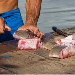 shutterstock-1442985353