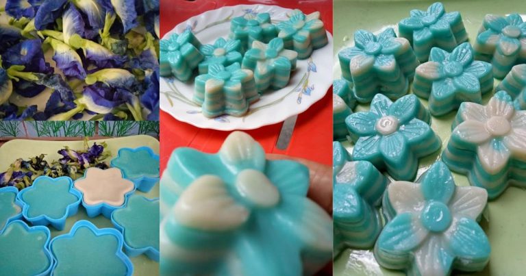 Kuih Lapis Bunga Telang, Cukup Lemak Manisnya! Guna Acuan Comel Senang Makan