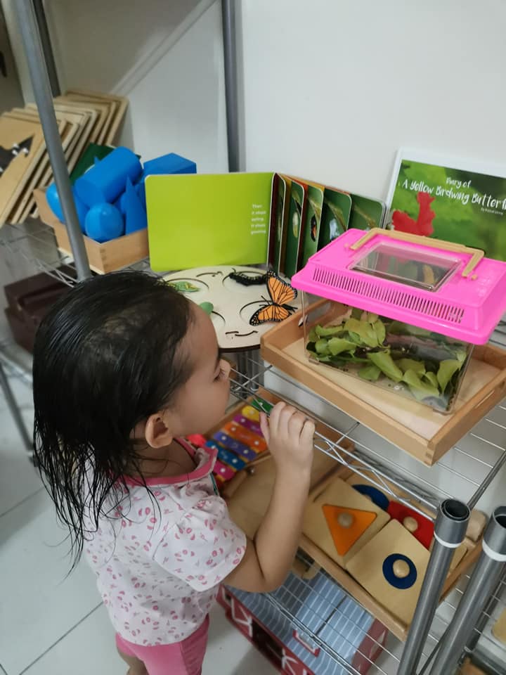 "Macam-Macam Soalan Anak Tanya" Bela Ulat Beluncas Sampai Jadi Rama-Rama, Idea Ibu Ni Superb! 15 “Macam-Macam Soalan Anak Tanya” Bela Ulat Beluncas Sampai Jadi Rama-Rama, Idea Ibu Ni Superb!