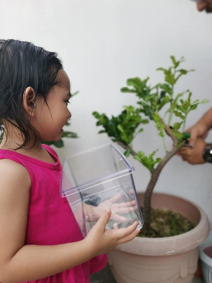 "Macam-Macam Soalan Anak Tanya" Bela Ulat Beluncas Sampai Jadi Rama-Rama, Idea Ibu Ni Superb! 12 “Macam-Macam Soalan Anak Tanya” Bela Ulat Beluncas Sampai Jadi Rama-Rama, Idea Ibu Ni Superb!