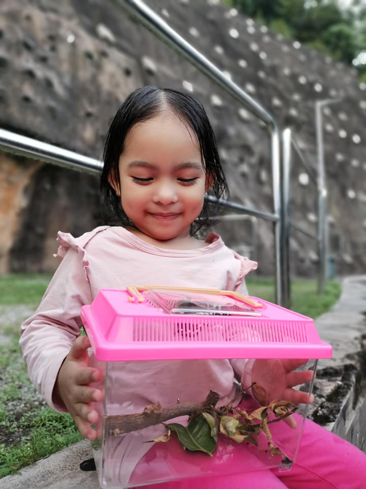 "Macam-Macam Soalan Anak Tanya" Bela Ulat Beluncas Sampai Jadi Rama-Rama, Idea Ibu Ni Superb! 20 “Macam-Macam Soalan Anak Tanya” Bela Ulat Beluncas Sampai Jadi Rama-Rama, Idea Ibu Ni Superb!