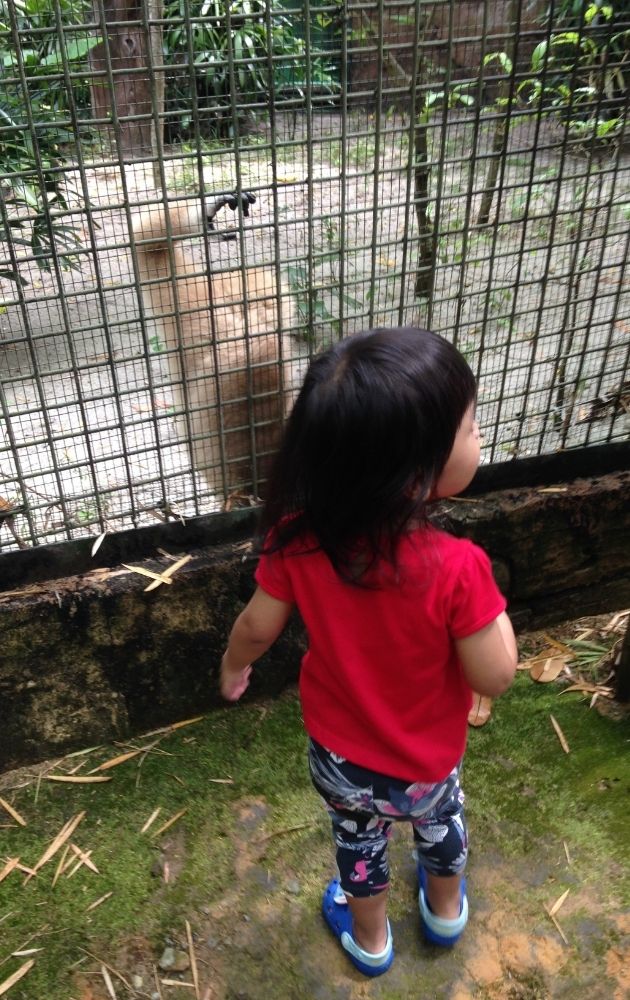 Main Di Luar, Anak Jadi Bijak. Jangan Biar Terperap Dalam Rumah! 11 Main Di Luar, Anak Jadi Bijak. Jangan Biar Terperap Dalam Rumah!