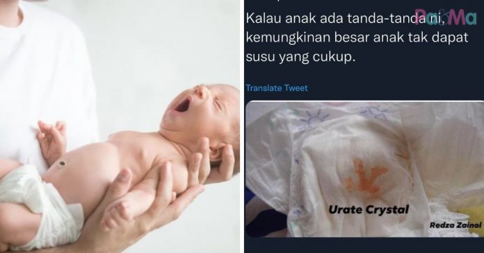 Untitled design (19)