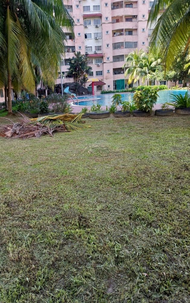 “Umi Jangan Pandang Sana” Didiklah Anak Jaga Pandangan Mata, Biar Anak Tahu Adab!