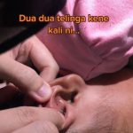 kutu2