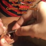 kutu3