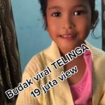 kutu4