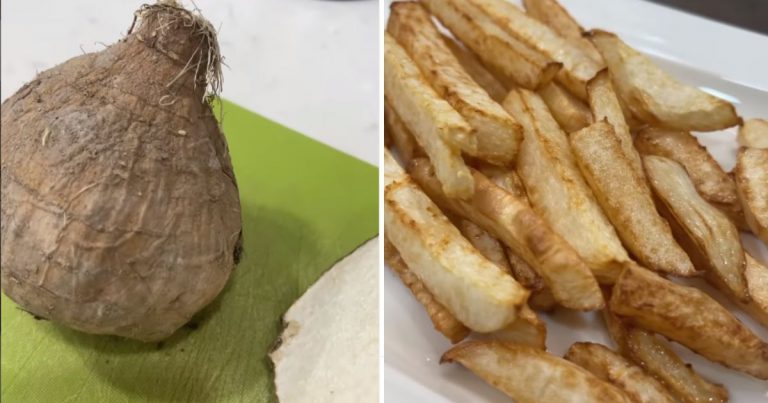 Jarang Kita Bagi Anak Makan Sengkuang, Banyak Manfaat Terutama Untuk Usus