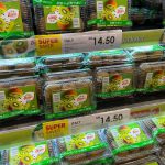 287902593_7541059592632610_5924737310602724308_n