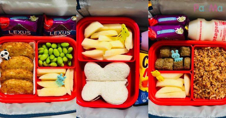 Comelnya Macam-Macam Bentuk, Idea Bekal Anak Ke Sekolah Ibu Ni Memang Awesome!