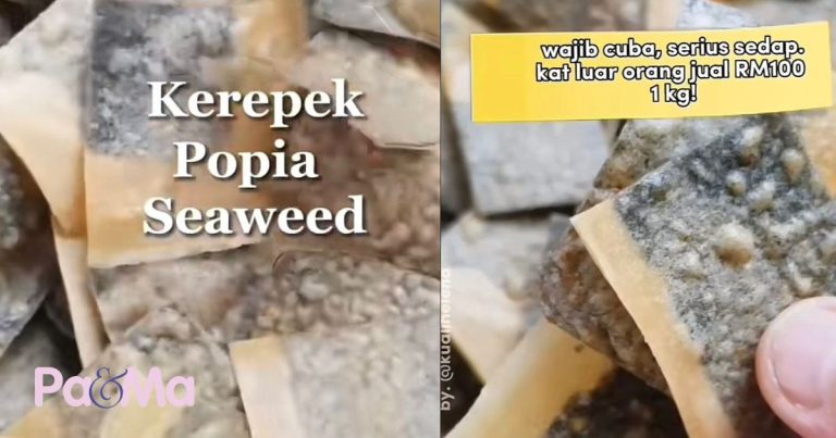 Kerepek Popia Seaweed Ketagih Rangup Dan Sedap Jadikan Kudapan, Perlukan 2 Bahan Je!