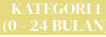 kategori01