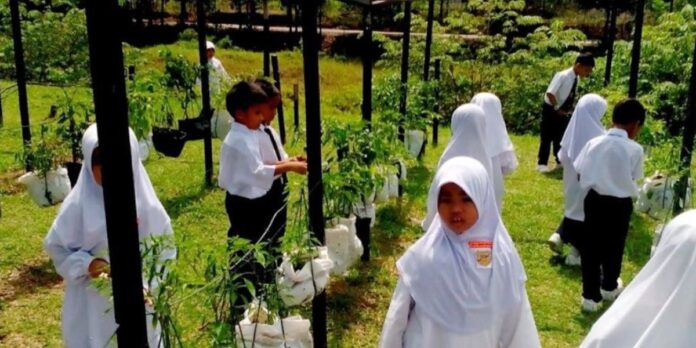 Copy of Copy of NEWBORN - 2023-06-07T165820.388