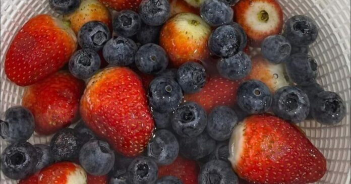 Copy of Unnamed Design (13)