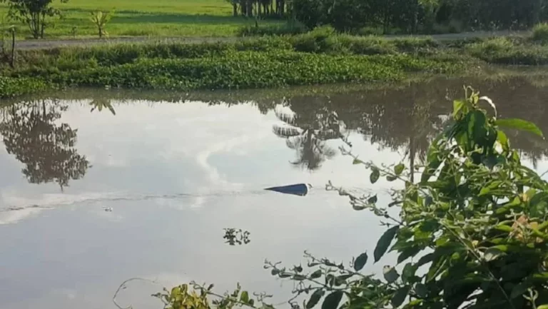 “Mayat Diangkat Seorang Demi Seorang” Enam Sekeluarga Sah Lemas, Kereta Tenggelam Di Sungai Korok!