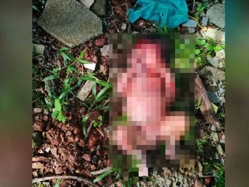 Bayi Ditinggal Tanpa Seurat Benang Di Tepi Jalan,Tangisan Jadi Penyelamat
