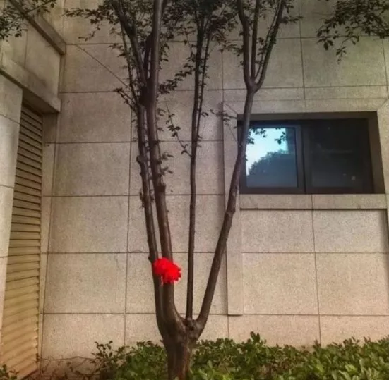 Kanak-kanak 3 Tahun Jatuh Dari Tingkat 18 Ditemui Selamat!