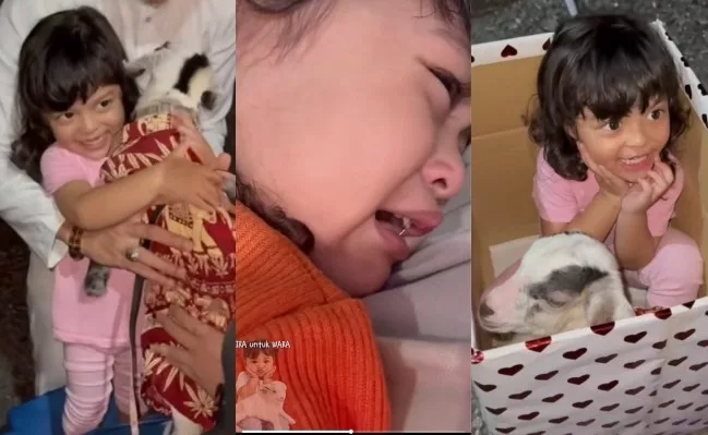 "Nak Bawa Tidur Pulak" Anak Mua Bellaz Menangis Nak Tidur Dengan Kambing, Gelagat Lucu Tarik Perhatian Wargamaya! 8 “Nak Bawa Tidur Pulak” Anak Mua Bellaz Menangis Nak Tidur Dengan Kambing, Gelagat Lucu Tarik Perhatian Wargamaya!