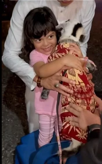 "Nak Bawa Tidur Pulak" Anak Mua Bellaz Menangis Nak Tidur Dengan Kambing, Gelagat Lucu Tarik Perhatian Wargamaya! 7 “Nak Bawa Tidur Pulak” Anak Mua Bellaz Menangis Nak Tidur Dengan Kambing, Gelagat Lucu Tarik Perhatian Wargamaya!