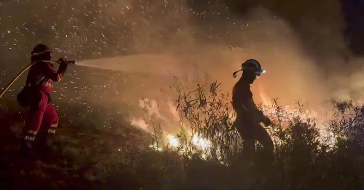 Gelombang Haba Ragut Nyawa Kanak-kanak 4 Tahun. Ibu Ayah, Peka Tanda Bahaya Strok Haba