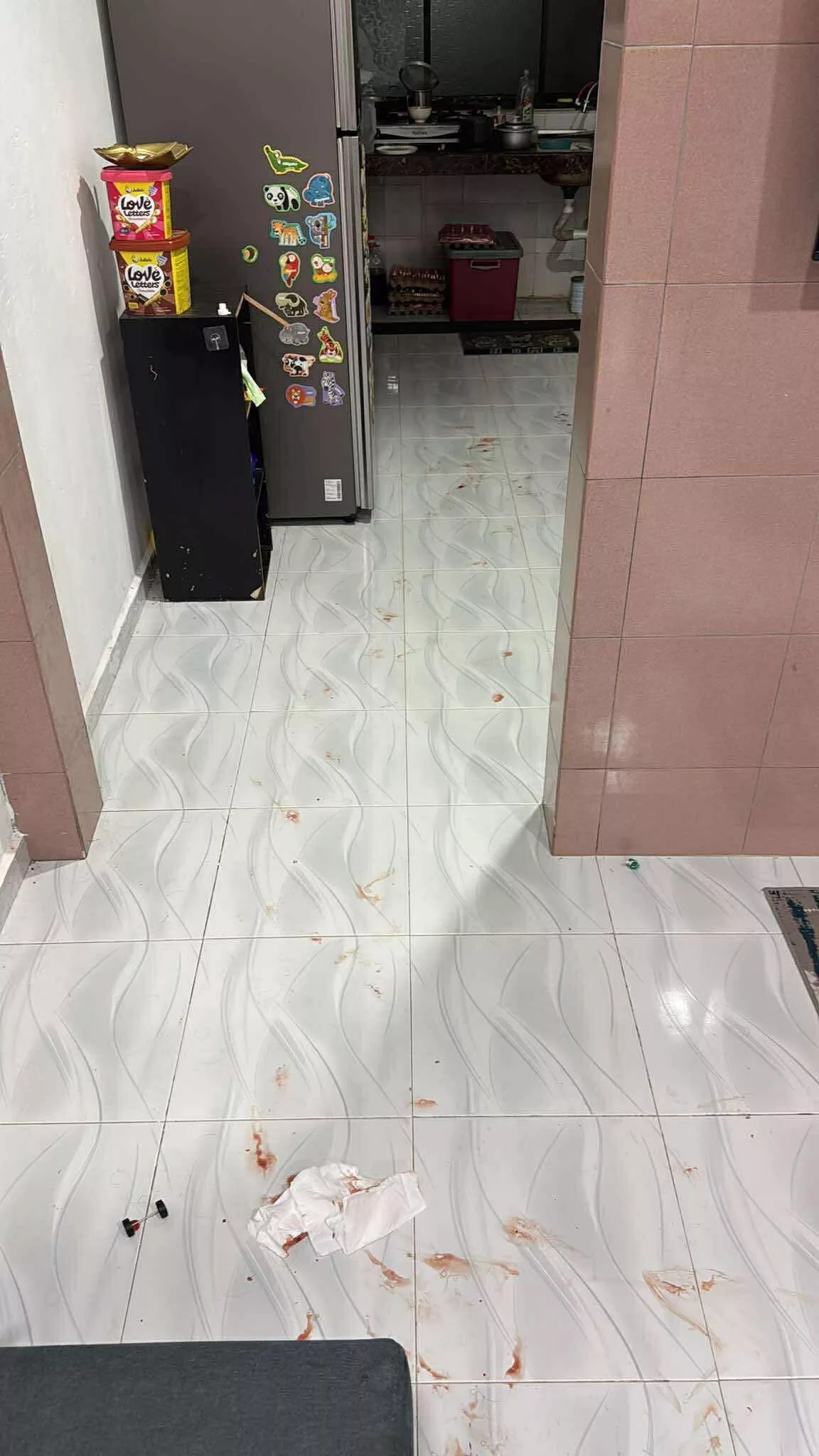 Ibu Sarat Hamil 8 Bulan Dipatuk Ular Sawa Dalam Tandas