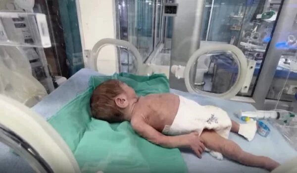 Bayi Pramatang Gaza: Kisah Pilu di Sebalik Perang dan Keajaiban Hidup 24 Bayi Pramatang Gaza: Kisah Pilu di Sebalik Perang dan Keajaiban Hidup