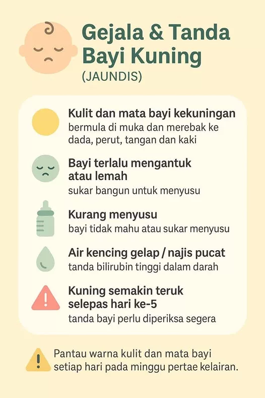Cara Kenal Kuning Bayi, Tanda Bahaya & Panduan Penting Untuk Ibu Bapa