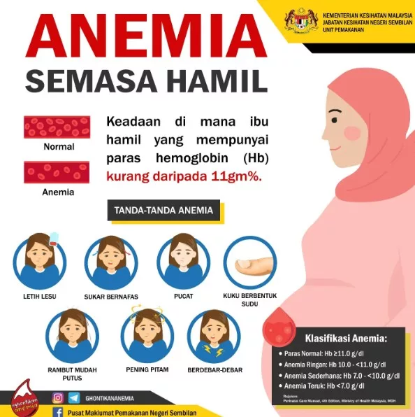 Hb Rendah Waktu Hamil, Bahaya Untuk Ibu & Bayi!