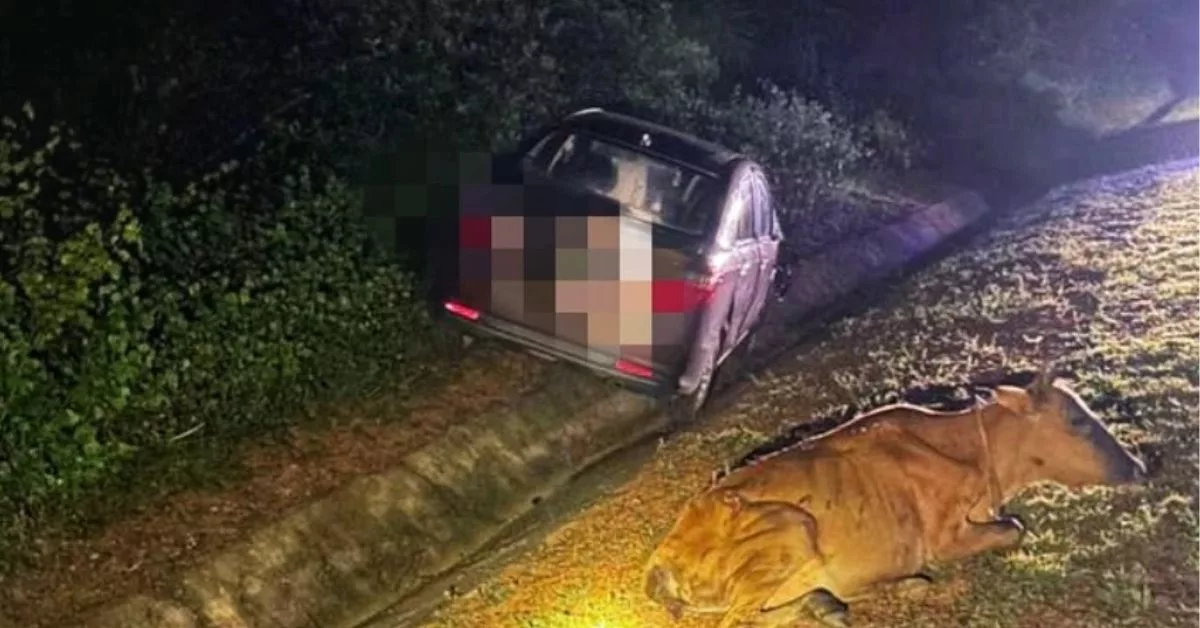 Bayi 11 Bulan Maut Dalam Pangkuan Ibu, Hasrat Keluar Beli Susu Bertukar Tragedi