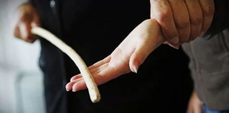 KPM Tolak Rotan Di Sekolah – “Saya Pernah Ke Balai Kerana Cuba Memanusiakan Murid….”