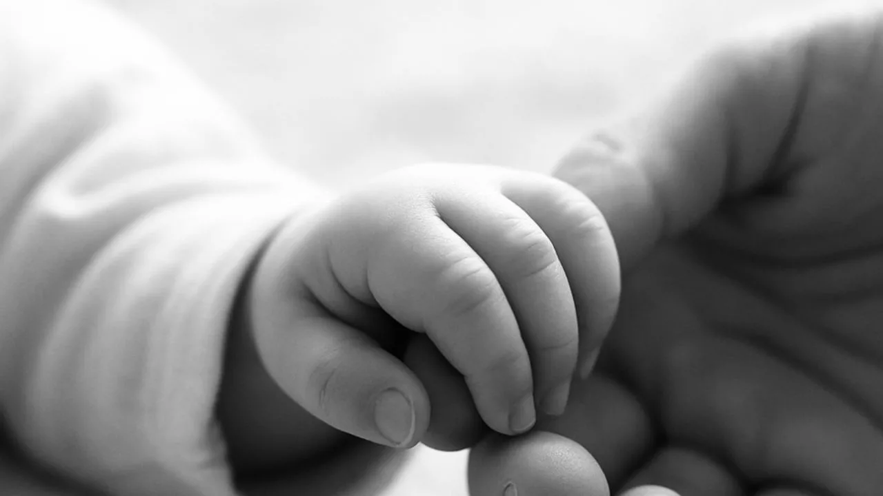 Tragedi Menyayat Hati, Bayi 9 Bulan Meninggal Dunia Akibat Serangan Anjing Peliharaan