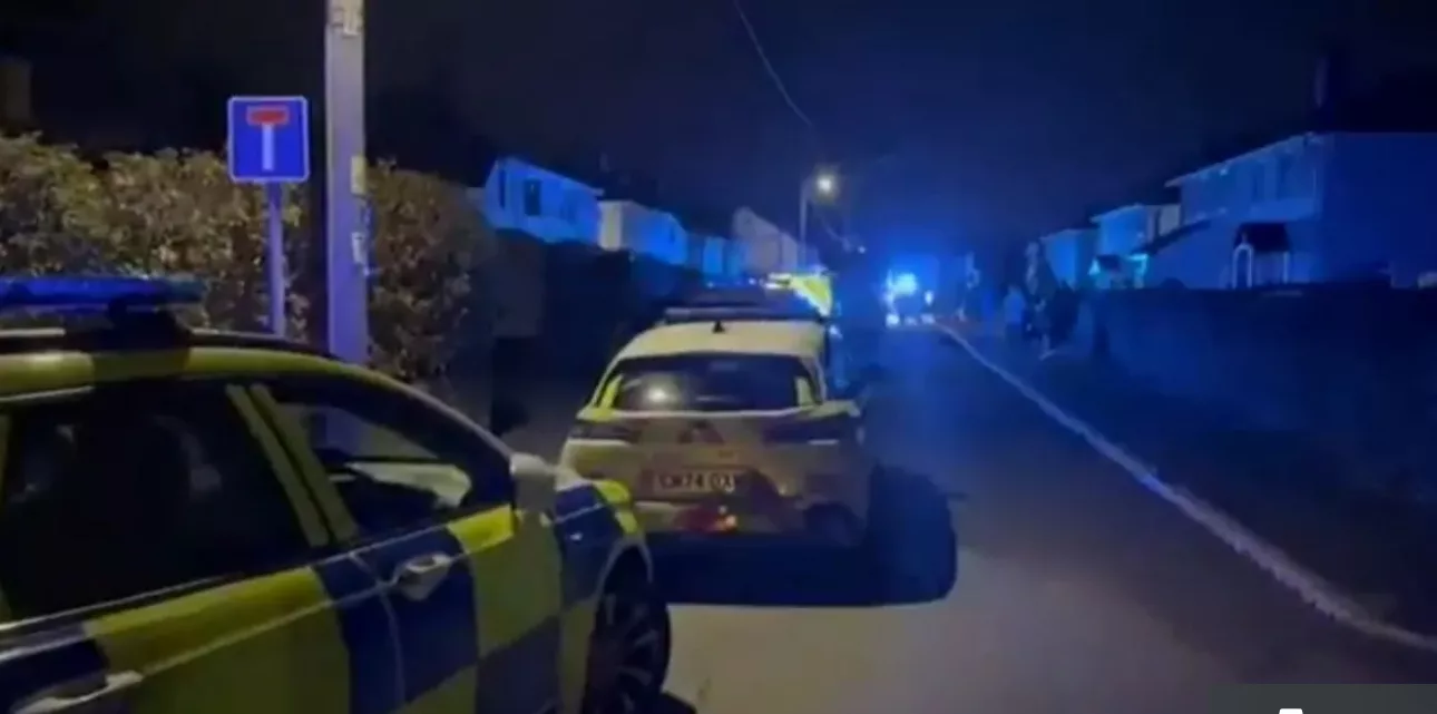 Tragedi Menyayat Hati, Bayi 9 Bulan Meninggal Dunia Akibat Serangan Anjing Peliharaan