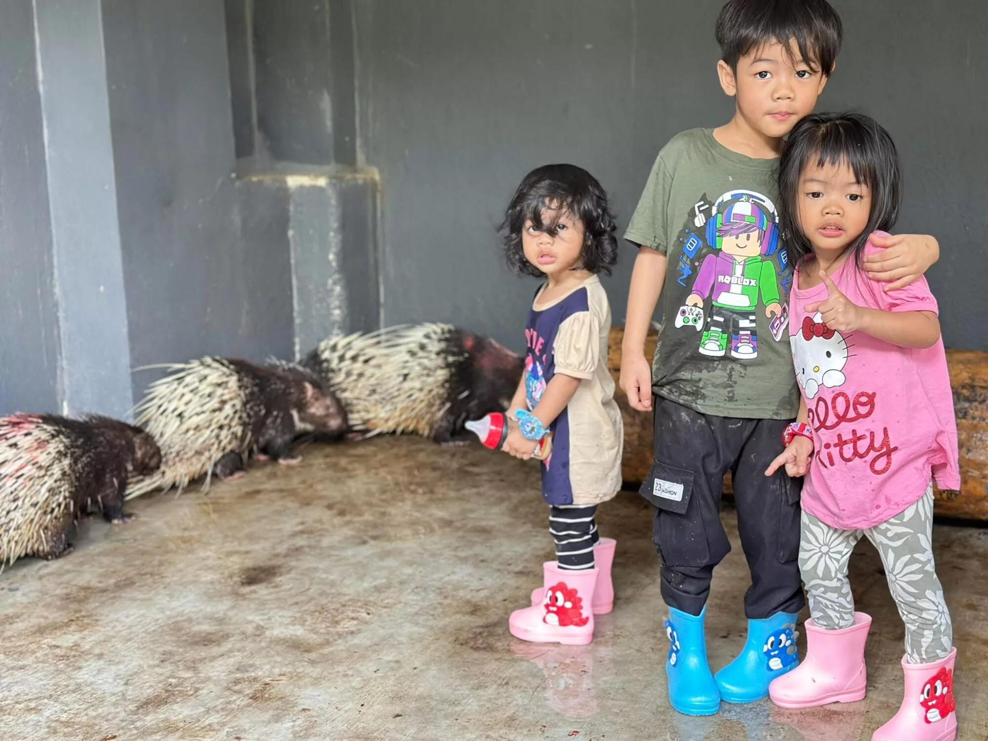 Budak 1 Tahun Tidur Bersama Landak Raya Jinak, Ramai Luah Terkejut!