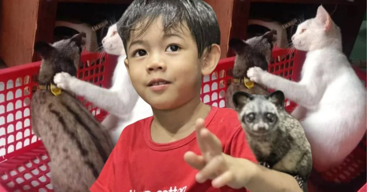 Musang Pandan Jadi Teman Anak: Cara Kreatif Bapa Kurangkan Ketagihan Gajet