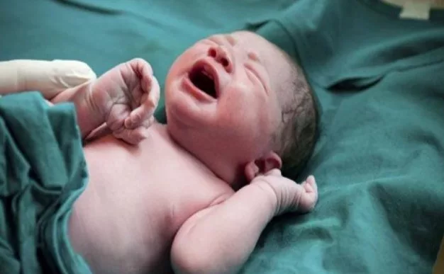 Bayi Dibuang Sumbang Mahram Terbongkar: Amaran Tragis & Menyayat Hati Buat Ibu Bapa Tentang Keselamatan Anak 8 Bayi Dibuang Sumbang Mahram Terbongkar: Amaran Tragis & Menyayat Hati Buat Ibu Bapa Tentang Keselamatan Anak