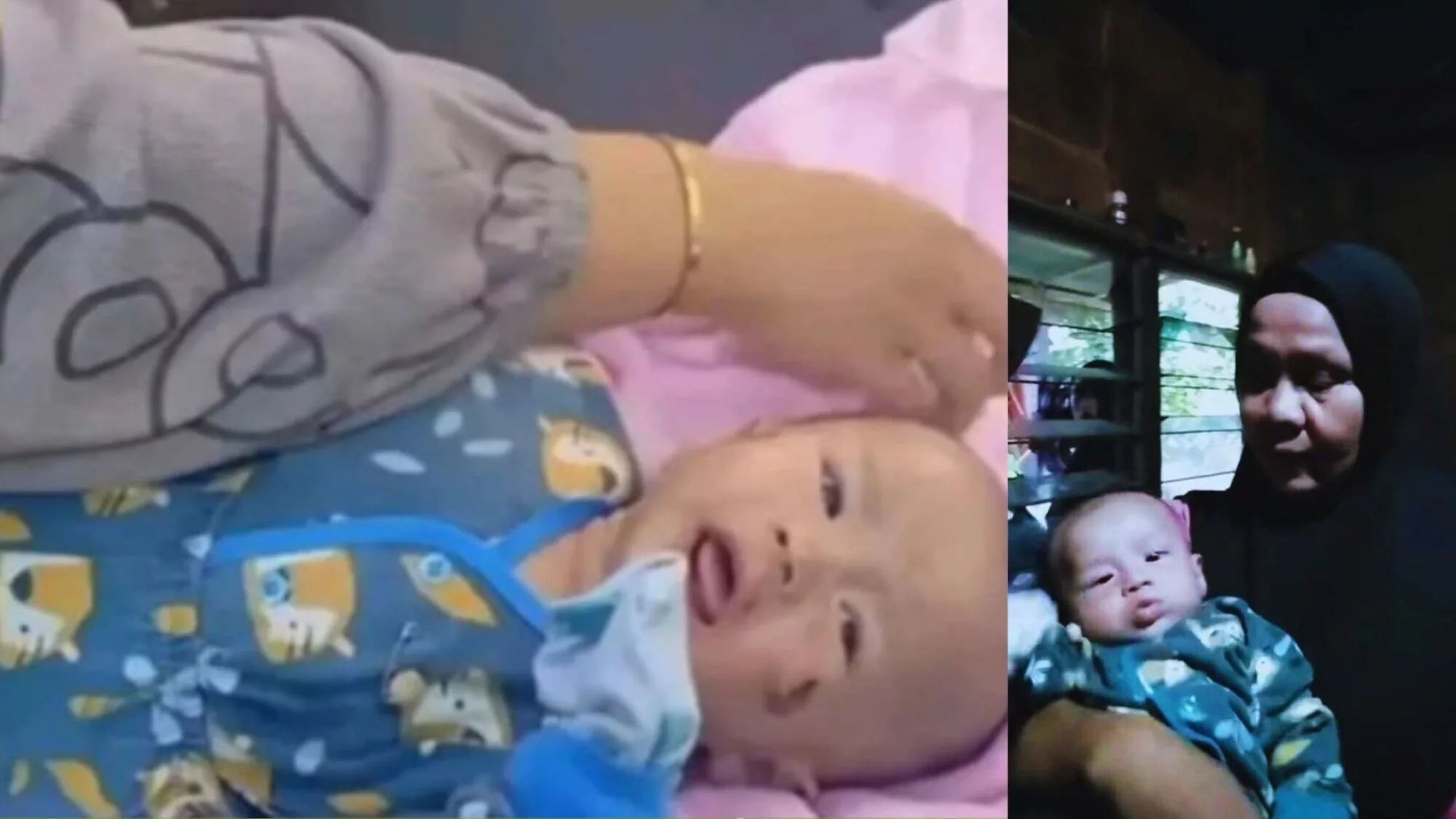 Bayi Tersangkut Pokok: Keajaiban Menyentuh Hati Selepas Tragedi Banjir 36 Bayi Tersangkut Pokok: Keajaiban Menyentuh Hati Selepas Tragedi Banjir