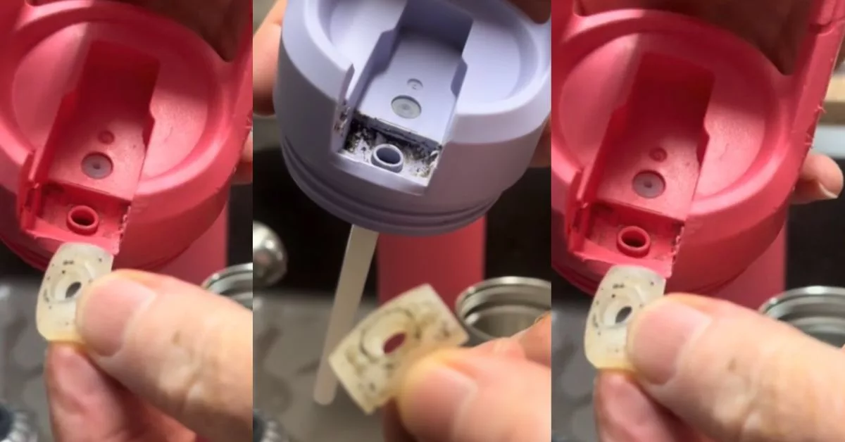 Kulat Hitam Botol Air: Penemuan Mengejutkan Yang Wajar Ibu Bapa Ambil Serius