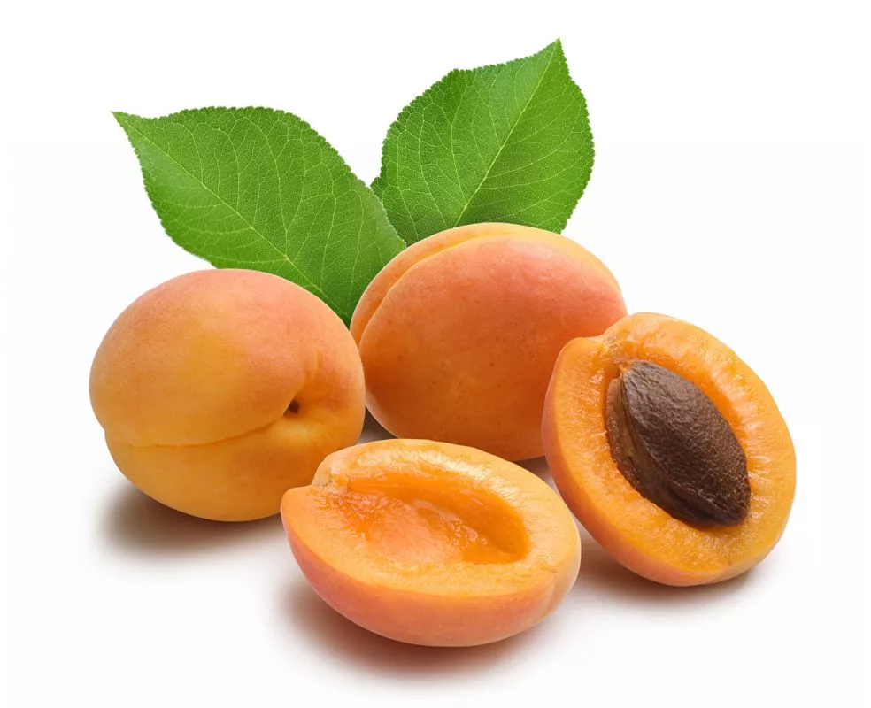 7 Buah Untuk Otak Anak Jadi Lebih Bijak, Fokus & Mudah Belajar 10 7 Buah Untuk Otak Anak Jadi Lebih Bijak, Fokus & Mudah Belajar