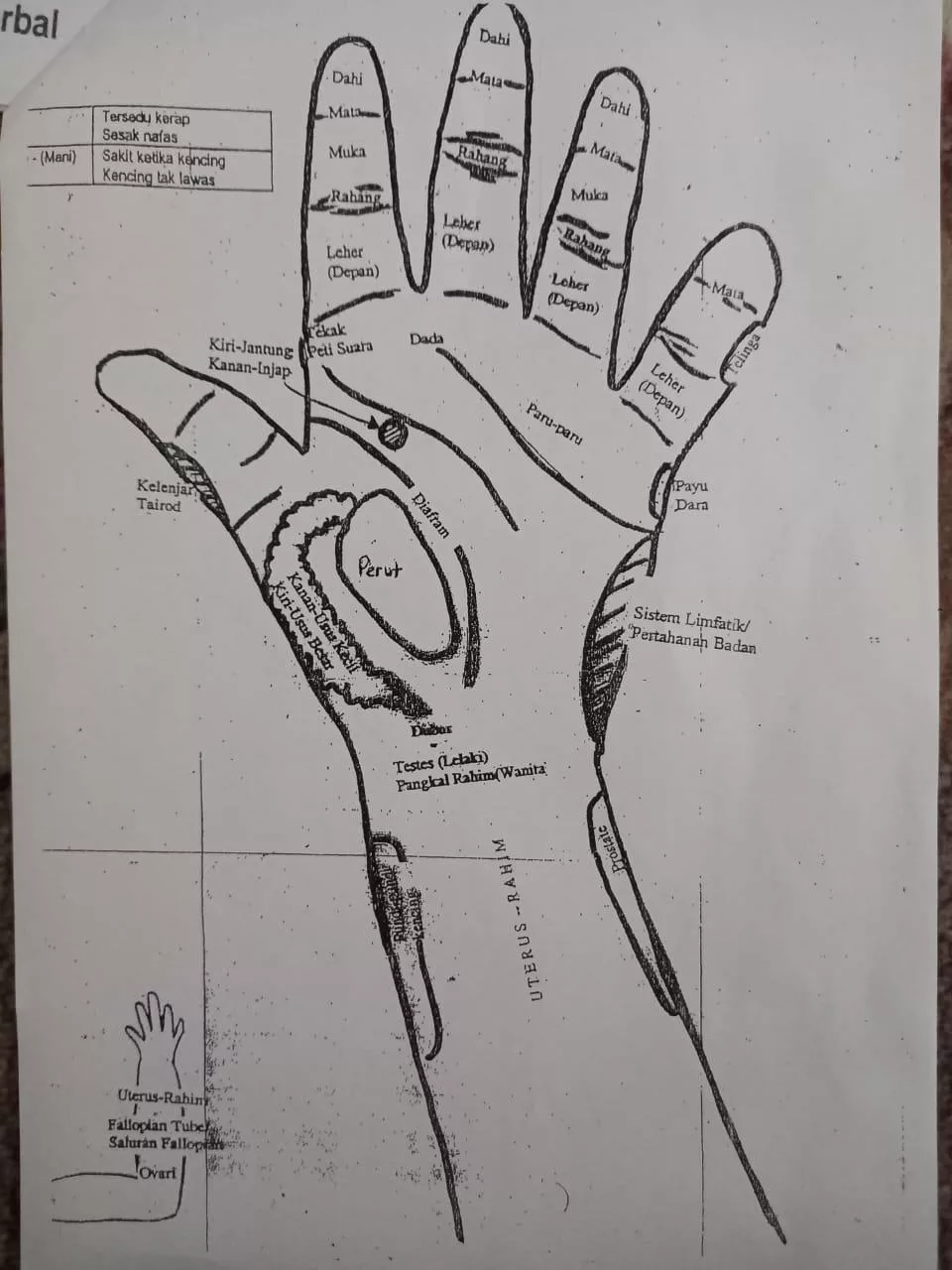 Cara Atasi Sembelit Anak Dengan Urutan Tangan, Kaedah Lembut & Selamat Tanpa Trauma 10 Cara Atasi Sembelit Anak Dengan Urutan Tangan, Kaedah Lembut & Selamat Tanpa Trauma