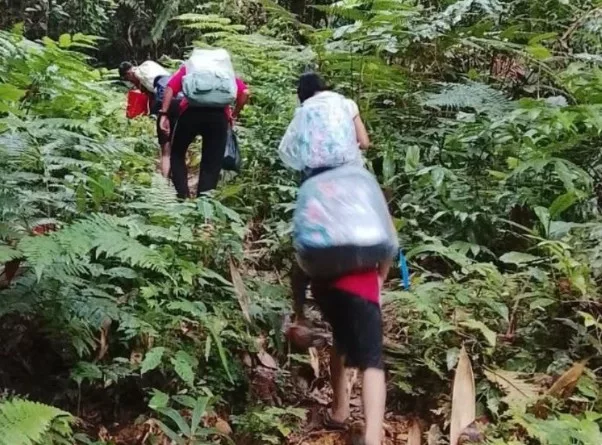 Pengorbanan Ibu Bapa Sabah Redah Hutan & Sungai 4 Jam Demi Hari Pertama Sekolah 7 Pengorbanan Ibu Bapa Sabah Redah Hutan & Sungai 4 Jam Demi Hari Pertama Sekolah