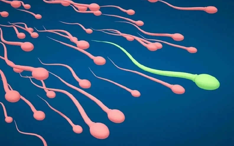 Kurang Tidur Punca Sperma ‘Malas’, Cetus Pasangan Berkahwin Belum Timang Anak