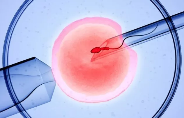 Tragis & Mengejutkan! Kes Tertukar Embrio IVF Ragut Harapan Pasangan Suami Isteri