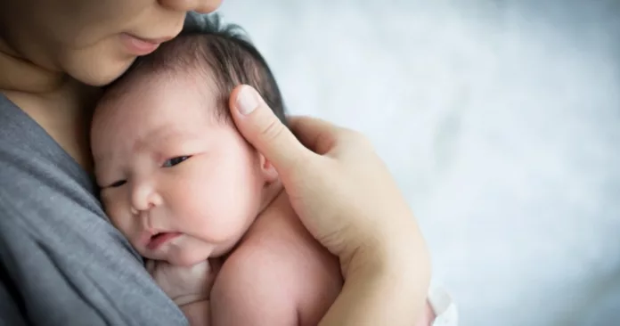 Untitled-design-14-1-1024x538