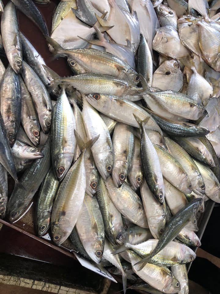 Nak Anak Bijak, Makan Ikan Dua Kali Seminggu Boleh Boost Otak!